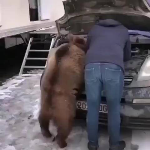 熊：我感觉是电机的事