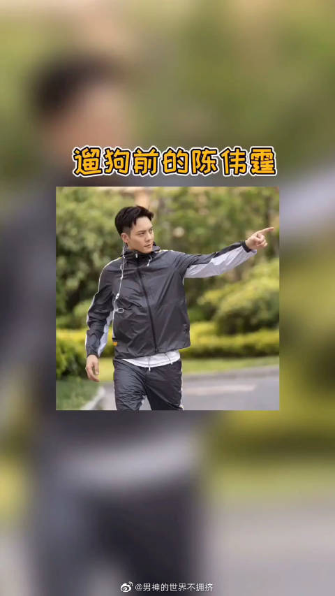 陈饱饱遛狗实况！ 钢铁的意志，不屈的灵魂～ 加油遛狗人~