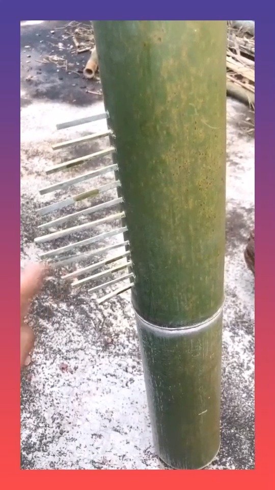 真正的纯天然，用这东西做乐器，效果居然会这么好！