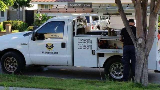 天花板夹层发出“沙沙”的声音,主人锯开一看,全身起了鸡皮疙瘩