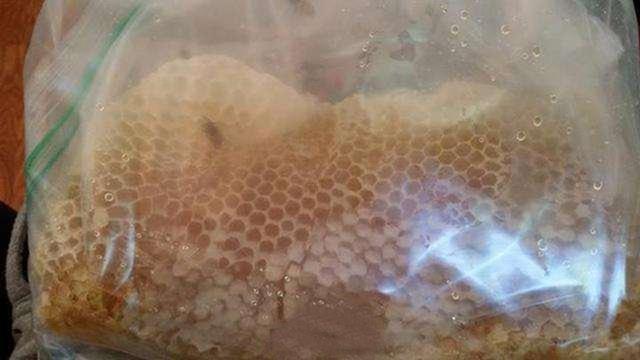 天花板夹层发出“沙沙”的声音,主人锯开一看,全身起了鸡皮疙瘩