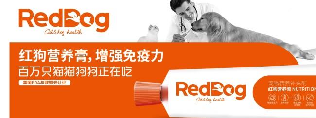 关注宠物营养需求，细致呵护宠物健康