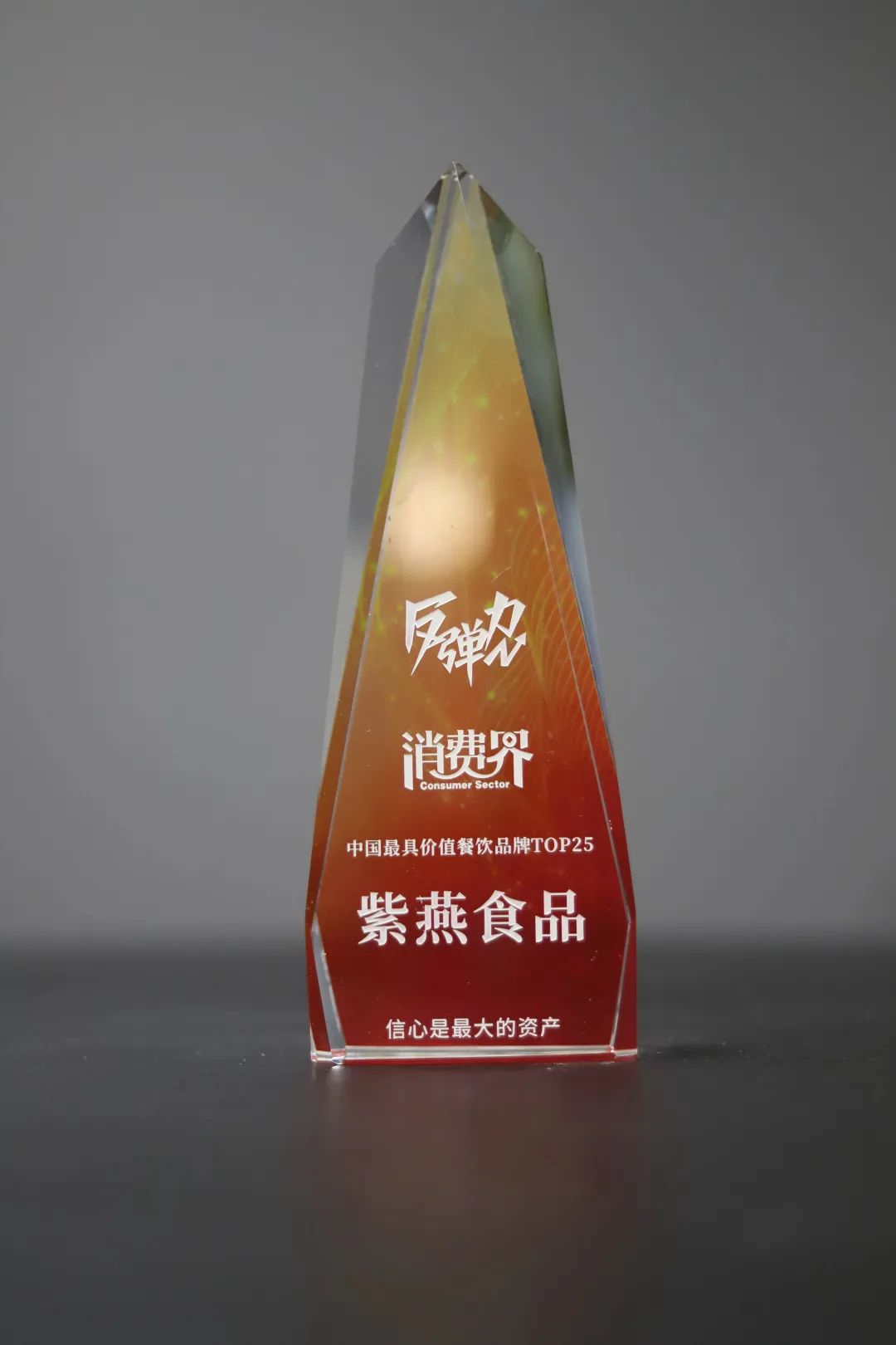 紫燕食品荣获“最具价值餐饮品牌TOP25”